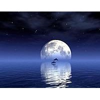 Aluminum alloy backrest