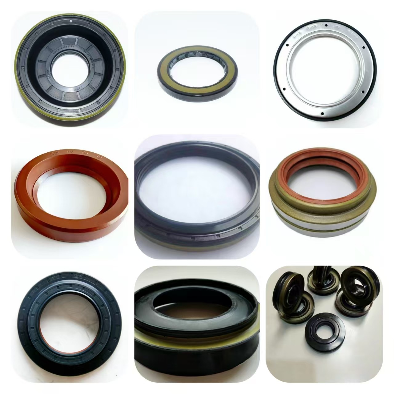 Motorcycle oil seal