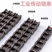 Chain & Chain Joint