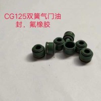 Oil Seal