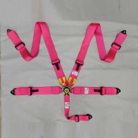 Cargo strapping, cargo netting, tire securing straps, racing straps