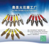 Spark Plug & Spark Plug Cap