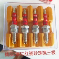 Spark Plug & Spark Plug Cap