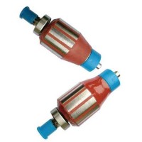 Motor and motor rotor
